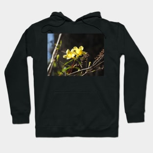 Yellow jessamine wildflowers, nature, gifts Hoodie